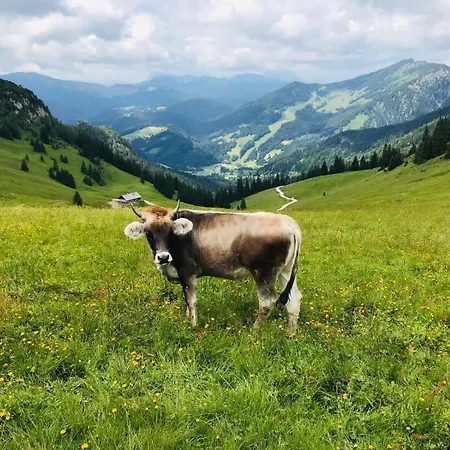 Apartmán Gernblick - Neue Dachwohnung Mit Bergblick Und Kostenlosem Privatparkplatz