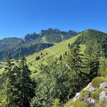 Gernblick - Neue Dachwohnung Mit Bergblick Und Kostenlosem Privatparkplatz Apartmán